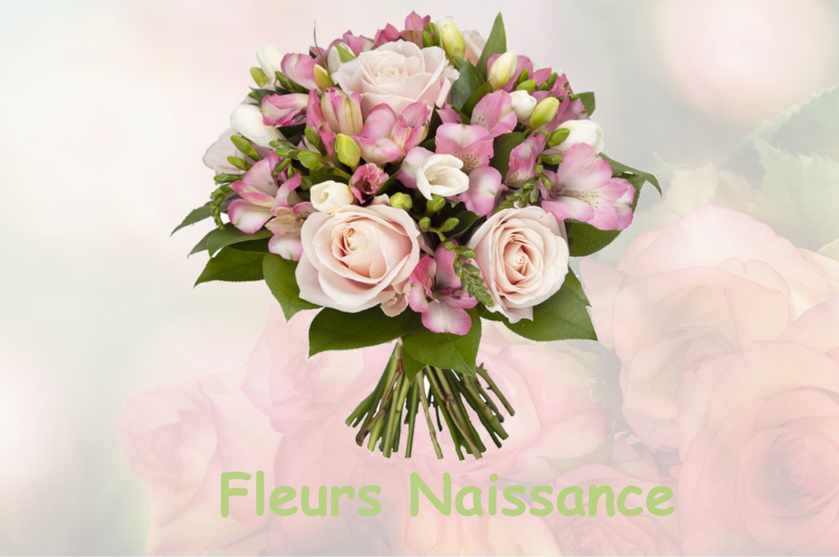 fleurs naissance SAINT-SULPICE-DE-ROUMAGNAC